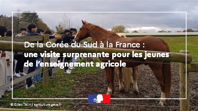De la Corée du Sud à la France une visite surprenante pour les jeunes