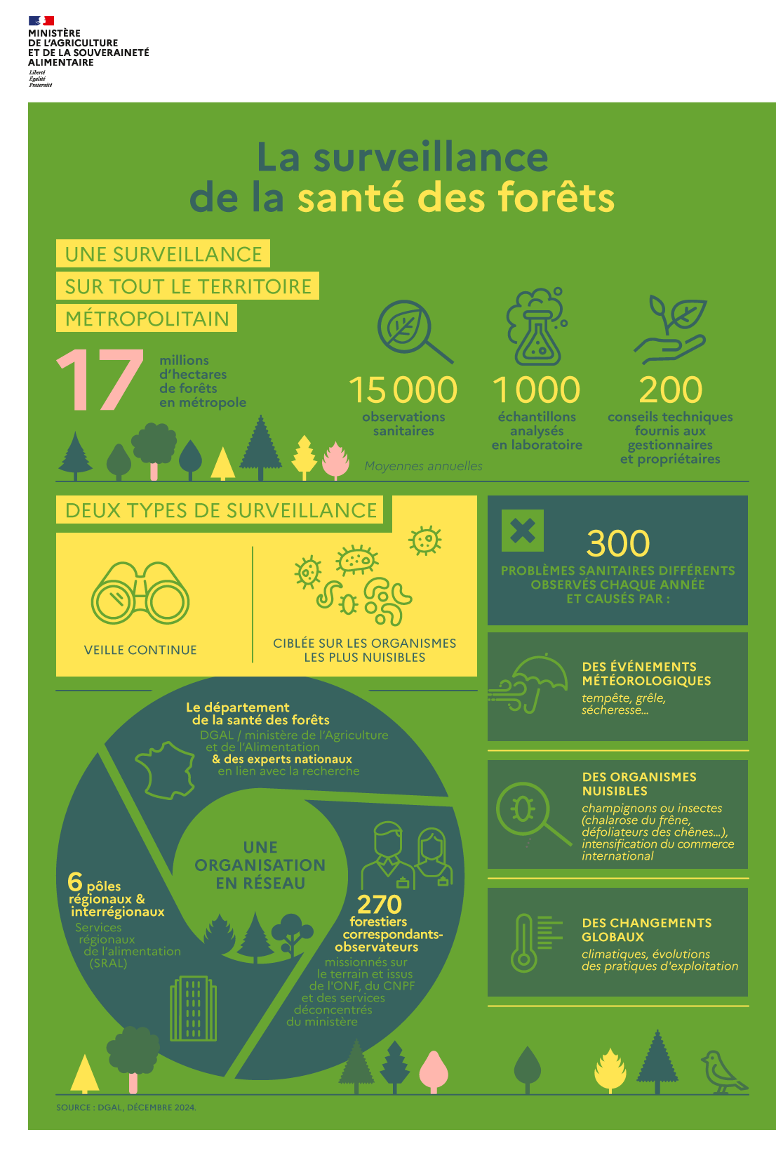Infographie - La surveillance de la santé des forêts - voir la transcription ci-dessous