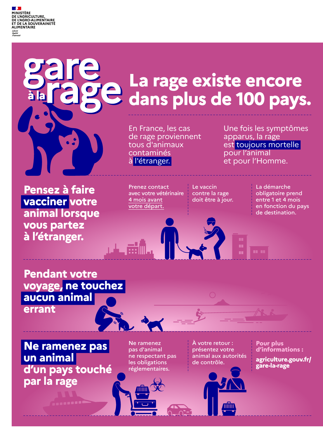 Gare à la rage - Infographie - voir la transcription ci-dessous
