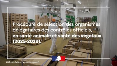 L'image répesente une photo de contrôle dans une chambre froide, avec le texte : procédure de sélection des organismes délégataires des contrôles officiels, en santé animale et santé des végétaux (2025-2029).