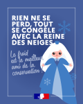 Vignette Image 5 : Le visuel de la campagne avec le texte "Rien ne se perd, tout se congèle avec la reine des neiges. Le froid est le meilleur ami de la conservation".