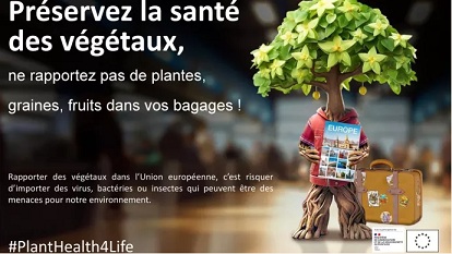 Visuel " Préservez la santé des végétaux, ne rapportez pas de plates, graines, fruits dans vos bagages."