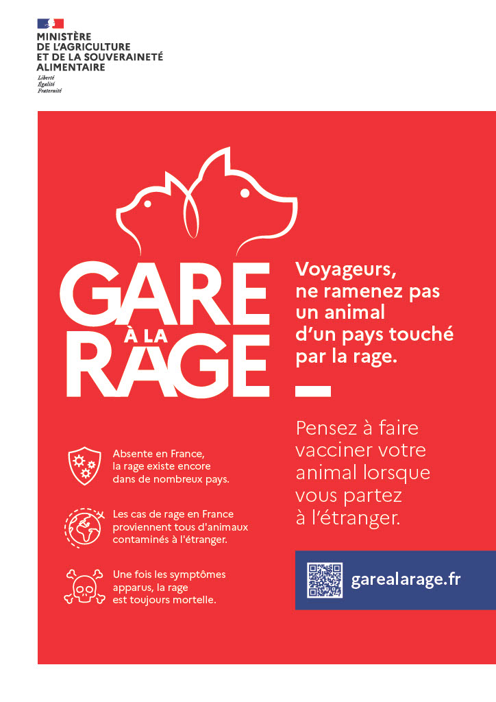 Affiche de la campagne signé par le Ministère de l'Agriculture et de la Souveraineté alimentaire Gare à la rage Absente en France, la rage existe encore dans de nombreux pays. Les cas de rage en France proviennent tous d'animaux contaminés à l'étranger. Une fois les symptômes apparus, la rage est toujours mortelle. Voyageurs, ne ramenez pas un animal d'un pays touché par la rage. Pensez à faire vacciner votre animal lorsque vous partez à l'étranger. garealarage.fr