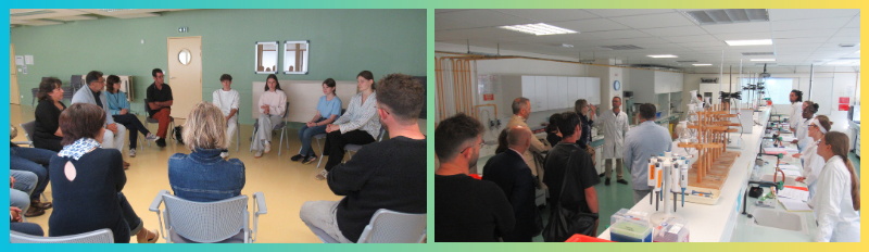 Photos des dialogues en classe de section européenne et en classe d'Anabiotec.