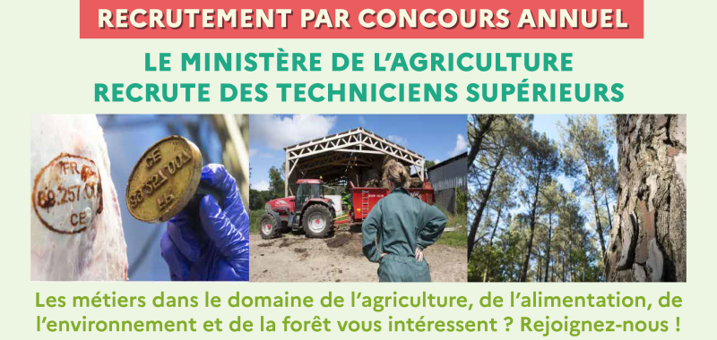 Trois différentes photos des métiers : la première un marquage de traçabilité, la deuxième dans une exploitation et la troisième dans la forêt. Recrutement par concours annuel. Le ministère de l'agriculture recrute des techniciens supérieurs. Les métiers dans le domaine de l'agriculture, de l'alimentation, de l'environnement et de la forêt vous intéressent ? Rejoignez-nous !