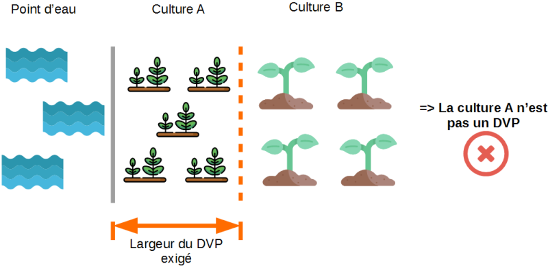 Schèma 1 : À proximité d'un cours d'eau, si une culture A est implantée entre le cours d'eau et une culture B, la culture A ne peut pas faire office de dispositif végétalisé permanent, car la culture B n'est pas pérenne.