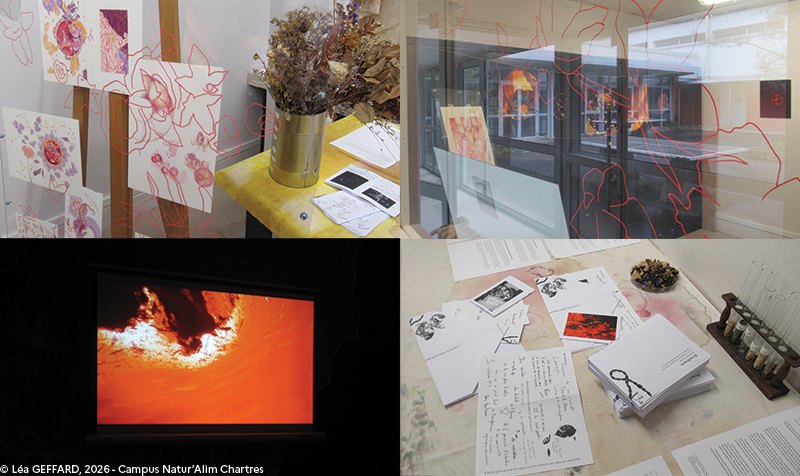 Montage photo de l'atelier de l'artiste Léa GÉFFARD : court-métrage, fanzines, dessins, matériaux.