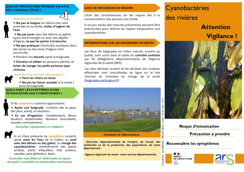 Cyanobactéries des rivières Attention Vigilance ! QUELLES PRÉCAUTIONS PRENDRE VIS-À-VIS DES CYANOBACTÉRIES ? Attention aux enfants ! → Ne pas se baigner en dehors des sites autorisés et surveillés, éviter d'ingérer de l'eau. → Ne pas jouer avec des bâtons ou galets ayant été immergés ou avec des dépôts d'algues, ne pas les porter à la bouche. → Ne pas pratiquer d'activités nautiques dans des zones où des amas d'algues sont accumulés. → Prendre une douche après la baignade. → Éviscérer et étêter les poissons pêchés, et éviter de manger les petits poissons type «friture». Attention aux animaux domestiques ! → Tenir les chiens en laisse → Ne pas les laisser accéder à la rivière / zone de baignade QUELS SONT LES SYMPTÔMES D'UNE INTOXICATION AUX CYANOTOXINES ? Si les symptômes suivants apparaissent : → Après une baignade : irritation (de la peau, des yeux, autre), ou boutons… → En cas d'ingestion : tremblements, fièvre, douleurs abdominales, douleurs musculaires, nausées, vomissements… Consulter rapidement un médecin Si un chien présente les symptômes suivants après avoir bu l'eau de la rivière, ou joué avec des bâtons ou des galets, ou mangé des cyanobactéries : tremblements des pattes arrières, perte d'équilibre, état anxieux, nausées, yeux globuleux, bave… Consulter sans délai un vétérinaire, en ayant récupéré si possible les éventuelles vomissures AXES DE RECHERCHE EN RÉGION L'état des connaissances sur les risques liés à la consommation des poissons est limité. A ce jour seules des mesures préventives peuvent être préconisées pour réduire les risques d'exposition aux cyanobactéries. INFORMATIONS SUR LES BAIGNADES OUVERTES Les lieux de baignades en milieu naturel, ouverts au public, sont suivis dans le cadre du contrôle sanitaire par les délégations départementales de l'Agence régionale de la santé (ARS). Les sites déclarés ouverts et les résultats des analyses effectuées sont consultables en ligne sur le site internet du ministère en charge de la santé (baignades.sante.gouv.fr). - Contacts et informations – - Direction départementale de l'emploi, du travail, des solidarités et de la protection des populations de votre département. - Agence régionale de santé : votre service départemental.