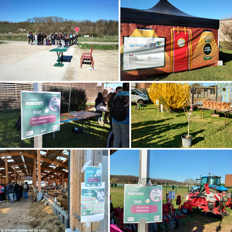 Photos des divers ateliers de la journée : sentier pédagogique, Métiers en Scène, consommation responsable, agroforesterie, bergerie, outils agricoles.